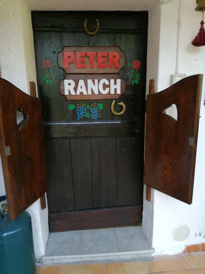 Peter Ranch 1 Daire Vico Canavese Dış mekan fotoğraf